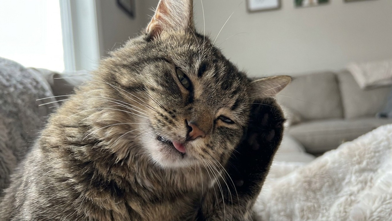 May Flea and Tick Explosion: The Subtle Sign on Your Cat You're Missing