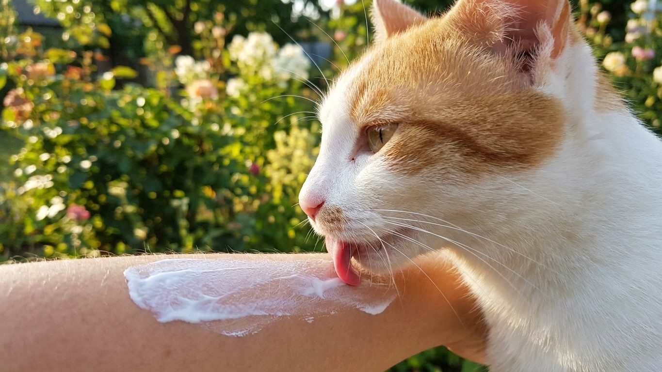Why You Should Never Let Your Cat Lick Your Sunscreen: A Vet's Warning About Zinc Oxide Poisoning