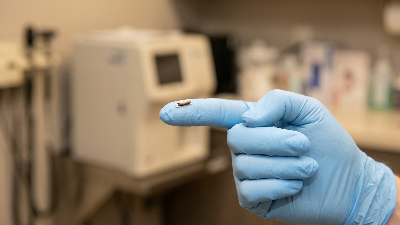 « I thought the chip alone was enough »: why a scanned cat can still come back as unidentified since the June 2024 law