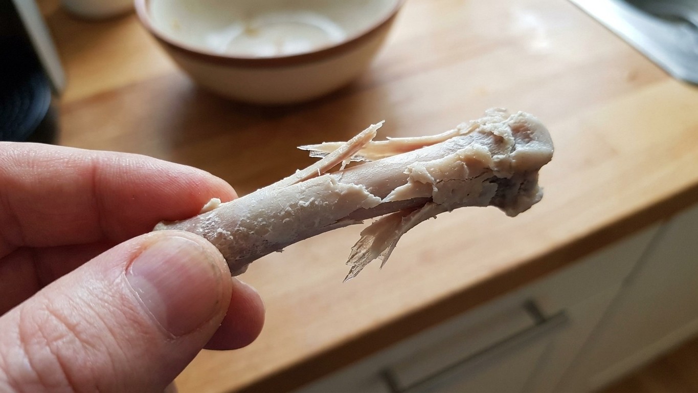 We all toss our grilled chicken bones where the cat can reach them: this one-second habit can perforate their gut within h...