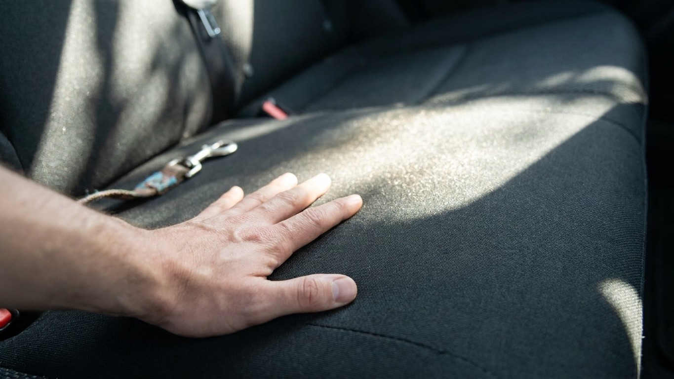 Press your palm flat on the back seat where the carrier sits and hold it there for ten seconds: it's the check every vet w...